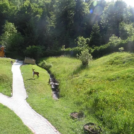 Kappen Guest house Inzell